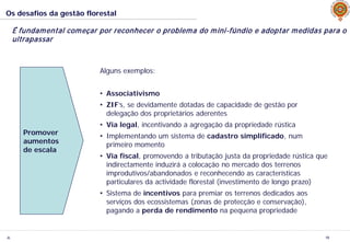 JL
Os desafios da gestão florestal
19
É fundamental começar por reconhecer o problema do mini-fúndio e adoptar medidas para o
ultrapassar
Promover
aumentos
de escala
Alguns exemplos:
• Associativismo
• ZIF’s, se devidamente dotadas de capacidade de gestão por
delegação dos proprietários aderentes
• Via legal, incentivando a agregação da propriedade rústica
• Implementando um sistema de cadastro simplificado, num
primeiro momento
• Via fiscal, promovendo a tributação justa da propriedade rústica que
indirectamente induzirá a colocação no mercado dos terrenos
improdutivos/abandonados e reconhecendo as características
particulares da actividade florestal (investimento de longo prazo)
• Sistema de incentivos para premiar os terrenos dedicados aos
serviços dos ecossistemas (zonas de protecção e conservação),
pagando a perda de rendimento na pequena propriedade
 
