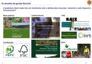 JL
Os desafios da gestão florestal
20
E podemos fazer tudo isto em harmonia com a defesa dos recursos naturais e sem impactes
irreversíveis?
Boas práticas
Certificação
Conhecimento I&D
DFCI
 