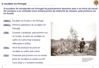 JL 4
O eucalipto em Portugal
O eucalipto foi introduzido em Portugal há praticamente duzentos anos e no início do século
XX começou a ser utilizado como matéria prima da indústria de celulose, pela primeira vez
no mundo
1820’s: Eucalipto na Europa e em Portugal
1850’s: Primeiras plantações de eucalipto em
Portugal;
1906: Ensaiada a produção, pela primeira vez
no mundo, de pasta de eucalipto ao
sulfito na Caima Pulp Company
(Albergaria-a-Velha);
1926: Início da produção de pasta de
eucalipto ao sulfito pela Caima
1954: Produzida pela primeira vez no mundo
pasta de eucalipto ao sulfato na CPC
Cacia (hoje é o standard mundial);
 