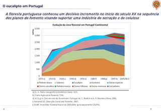 JL 6
O eucalipto em Portugal
A floresta portuguesa conheceu um decisivo incremento no início do século XX na sequência
dos planos de fomento visando suportar uma indústria de serração e de celulose
 