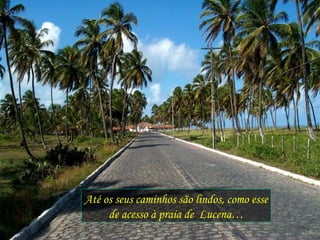 Até os seus caminhos são lindos, como esse de acesso à praia de  Lucena… 