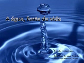 Trabalho realizado por:

João Diogo Trindade Almeida
João Carlos Almeida Oliveira
 