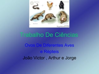 Trabalho De Ciências
  Ovos De Diferentes Aves
          e Répteis
 João Victor , Arthur e Jorge
 