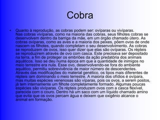 Cobra
•   Quanto à reprodução, as cobras podem ser: ovíparas ou vivíparas.
    Nas cobras vivíparas, como na maioria das cobras, seus filhotes cobras se
    desenvolvem dentro da barriga da mãe, em um órgão chamado útero. As
    cobras ovíparas, como as aves e a maioria dos peixes, põem ovos de onde
    nascem os filhotes, quando completam o seu desenvolvimento. As cobras
    se reproduzem de ovos, isso quer dizer que elas são ovíparas. Os répteis
    se reproduzirem através de ovo com casca. Este precisava ser depositado
    na terra, a fim de proteger os embriões da ação predatória dos animais
    aquáticos. Isso se deu numa época em que a quantidade de inimigos no
    meio terrestre era nula. Esse ovo, desenvolvendo-se fora do ambiente
    aquático, permitiu sobrevivência de maior número de descendentes.
    Através das modificações do material genético, os tipos mais diferentes de
    répteis iam dominando o meio terrestre. A maioria dos ofídios é ovípara,
    mas muitas espécies venenosas são víparas, pois os ovos, a serem postos,
    já tem internamente um filhote completamente formado. Algumas poucas
    espécies são vivíparas. Os répteis produzem ovos com a casca flexível,
    parecida com o couro. Dentro há um saco com um líquido chamado amino
    que evita que os ovos percam água e deixem que oxigênio alcance o
    animal em formação.
 