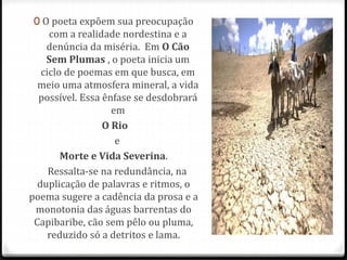 0 O poeta expõem sua preocupação 
com a realidade nordestina e a 
denúncia da miséria. Em O Cão 
Sem Plumas , o poeta inicia um 
ciclo de poemas em que busca, em 
meio uma atmosfera mineral, a vida 
possível. Essa ênfase se desdobrará 
em 
O Rio 
e 
Morte e Vida Severina. 
Ressalta-se na redundância, na 
duplicação de palavras e ritmos, o 
poema sugere a cadência da prosa e a 
monotonia das águas barrentas do 
Capibaribe, cão sem pêlo ou pluma, 
reduzido só a detritos e lama. 
 
