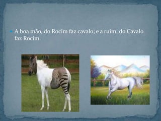 A boa mão, do Rocim faz cavalo; e a ruim, do Cavalo faz Rocim.