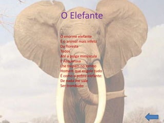 O Elefante
O enorme elefante
É o animal mais infeliz
Da floresta
Todos
Até a pulga minúscula
E Asquerosa
Lhe trepam no lombo
Homem que engole tudo
É como o pobre elefante:
De nada lhe vale
Ser trombudo
 