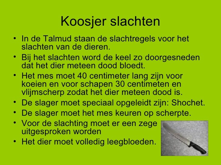 wat moet er in de keuken van de technologie zijn