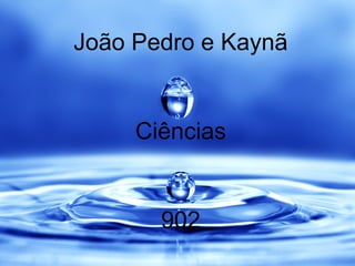 João Pedro e Kaynã Ciências 902 