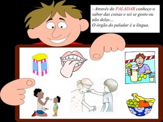 - Através do PALADAR conheço o
sabor das coisas e sei se gosto ou
não delas…
O órgão do paladar é a língua.
 