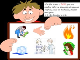 -Por fim, temos o TATO, que nos
ajuda a saber se as coisas são quentes
ou frias, secas ou molhadas, macias
ou ásperas…
O órgão do tato é a pele.
 