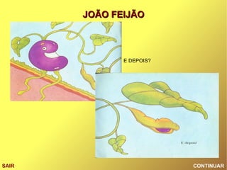 CONTINUAR SAIR E DEPOIS? 