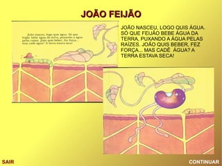 CONTINUAR SAIR JOÃO NASCEU, LOGO QUIS ÁGUA. SÓ QUE FEIJÃO BEBE ÁGUA DA TERRA, PUXANDO A ÁGUA PELAS RAÍZES. JOÃO QUIS BEBER, FEZ FORÇA... MAS CADÊ  ÁGUA? A TERRA ESTAVA SECA! 