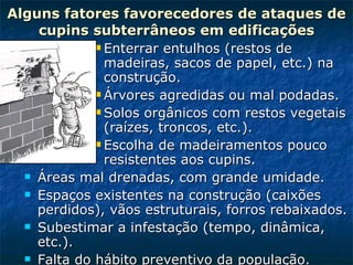Alguns fatores favorecedores de ataques de cupins subterrâneos em edificações Enterrar entulhos (restos de madeiras, sacos de papel, etc.) na construção. Árvores agredidas ou mal podadas. Solos orgânicos com restos vegetais (raízes, troncos, etc.). Escolha de madeiramentos pouco resistentes aos cupins. Áreas mal drenadas, com grande umidade. Espaços existentes na construção (caixões perdidos), vãos estruturais, forros rebaixados. Subestimar a infestação (tempo, dinâmica, etc.). Falta do hábito preventivo da população. 
