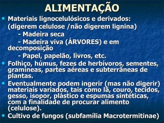 ALIMENTAÇÃO Materiais lignocelulósicos e derivados:  (digerem celulose /não digerem lignina) - Madeira seca - Madeira viva (ÁRVORES) e em decomposição - Papel, papelão, livros, etc. Folhiço, húmus, fezes de herbívoros, sementes, gramíneas, partes aéreas e subterrâneas de plantas. Eventualmente podem ingerir (mas não digerir) materiais variados, tais como lã, couro, tecidos, gesso, isopor, plástico e espumas sintéticas, com a finalidade de procurar alimento (celulose). Cultivo de fungos (subfamília Macrotermitinae) 