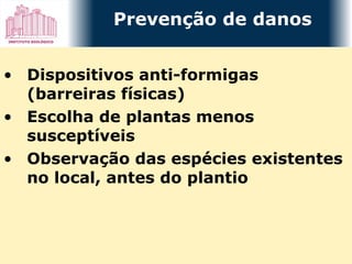 Dispositivos anti-formigas (barreiras físicas) Escolha de plantas menos susceptíveis  Observação das espécies existentes no local, antes do plantio Prevenção de danos 