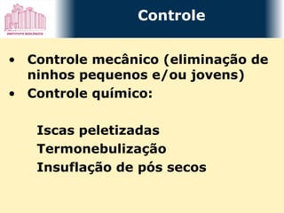 Controle mecânico (eliminação de ninhos pequenos e/ou jovens) Controle químico: Iscas peletizadas Termonebulização Insuflação de pós secos Controle 