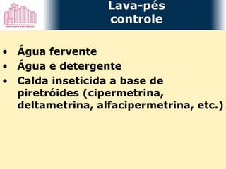 Água fervente Água e detergente Calda inseticida a base de piretróides (cipermetrina, deltametrina, alfacipermetrina, etc.) Lava-pés controle 