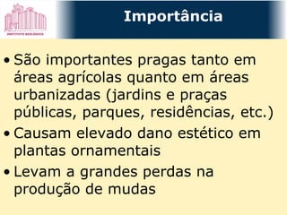 São importantes pragas tanto em áreas agrícolas quanto em áreas urbanizadas (jardins e praças públicas, parques, residências, etc.) Causam elevado dano estético em plantas ornamentais Levam a grandes perdas na produção de mudas Importância 