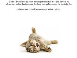 Gatos  - Donos que os criam para caçar ratos não lhes dão carne e os alimentam mal na ilusão de que é a fome que os fará caçar. Na verdade, é o contrário: gato bem alimentado caça mais e melhor.   