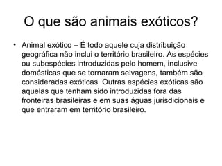 O que são animais exóticos? Animal exótico – É todo aquele cuja distribuição geográfica não inclui o território brasileiro. As espécies ou subespécies introduzidas pelo homem, inclusive domésticas que se tornaram selvagens, também são consideradas exóticas. Outras espécies exóticas são aquelas que tenham sido introduzidas fora das fronteiras brasileiras e em suas águas jurisdicionais e que entraram em território brasileiro.  