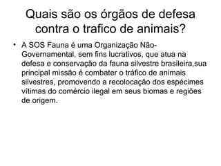 Quais são os órgãos de defesa contra o trafico de animais? A SOS Fauna é uma Organização Não-Governamental, sem fins lucrativos, que atua na defesa e conservação da fauna silvestre brasileira,sua principal missão é combater o tráfico de animais silvestres, promovendo a recolocação dos espécimes vítimas do comércio ilegal em seus biomas e regiões de origem. 