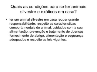 Quais as condições para se ter animais silvestre e exóticos em casa? ter um animal silvestre em casa requer grande responsabilidade: respeito as características comportamentais do animal, cuidados com a sua alimentação, prevenção e tratamento de doenças, fornecimento de abrigo, alimentação e segurança adequados e respeito as leis vigentes.  
