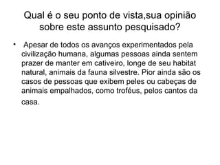 Qual é o seu ponto de vista,sua opinião sobre este assunto pesquisado? Apesar de todos os avanços experimentados pela civilização humana, algumas pessoas ainda sentem prazer de manter em cativeiro, longe de seu habitat natural, animais da fauna silvestre. Pior ainda são os casos de pessoas que exibem peles ou cabeças de animais empalhados, como troféus, pelos cantos da casa.   