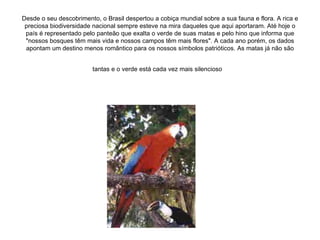 Desde o seu descobrimento, o Brasil despertou a cobiça mundial sobre a sua fauna e flora. A rica e preciosa biodiversidade nacional sempre esteve na mira daqueles que aqui aportaram. Até hoje o país é representado pelo panteão que exalta o verde de suas matas e pelo hino que informa que "nossos bosques têm mais vida e nossos campos têm mais flores". A cada ano porém, os dados apontam um destino menos romântico para os nossos símbolos patrióticos. As matas já não são tantas e o verde está cada vez mais silencioso   