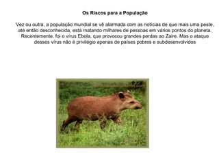Os Riscos para a População Vez ou outra, a população mundial se vê alarmada com as notícias de que mais uma peste, até então desconhecida, está matando milhares de pessoas em vários pontos do planeta. Recentemente, foi o vírus Ebola, que provocou grandes perdas ao Zaire. Mas o ataque desses vírus não é privilégio apenas de países pobres e subdesenvolvidos 
