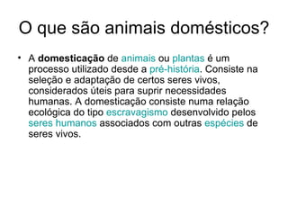 O que são animais domésticos? A  domesticação  de  animais  ou  plantas  é um processo utilizado desde a  pré-história . Consiste na seleção e adaptação de certos seres vivos, considerados úteis para suprir necessidades humanas. A domesticação consiste numa relação ecológica do tipo  escravagismo  desenvolvido pelos  seres humanos  associados com outras  espécies  de seres vivos.  