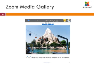 Zoom Media Gallery 