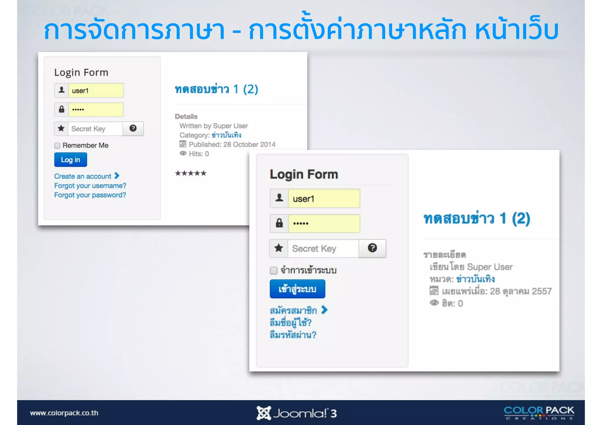 การจัดการภาษา - การตั้งค่าภาษาหลัก หน้าเว็บ
 