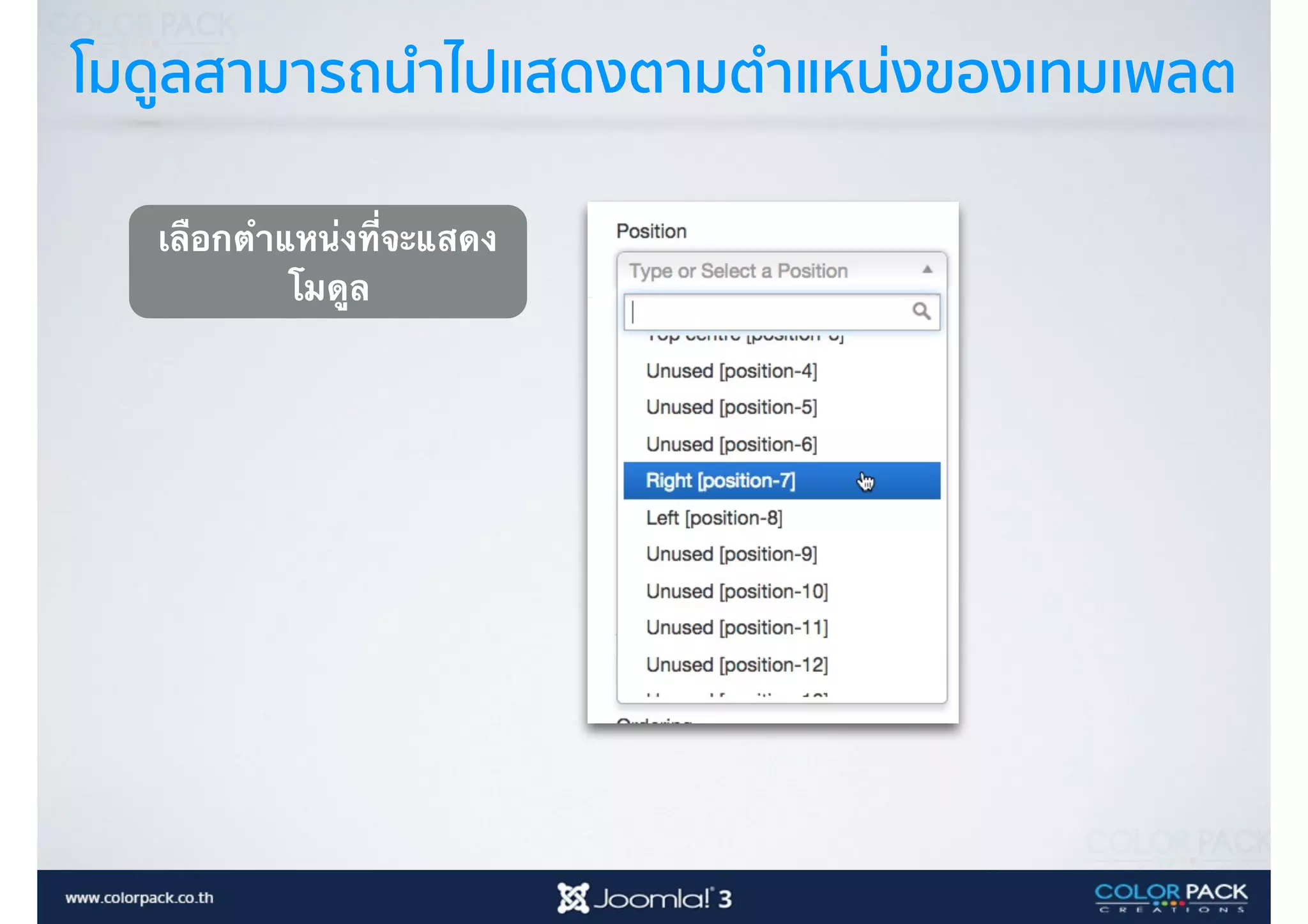 โมดูลสามารถนำไปแสดงตามตำแหน่งของเทมเพลต
เลือกตำแหน่งที่จะแสดง
โมดูล
 