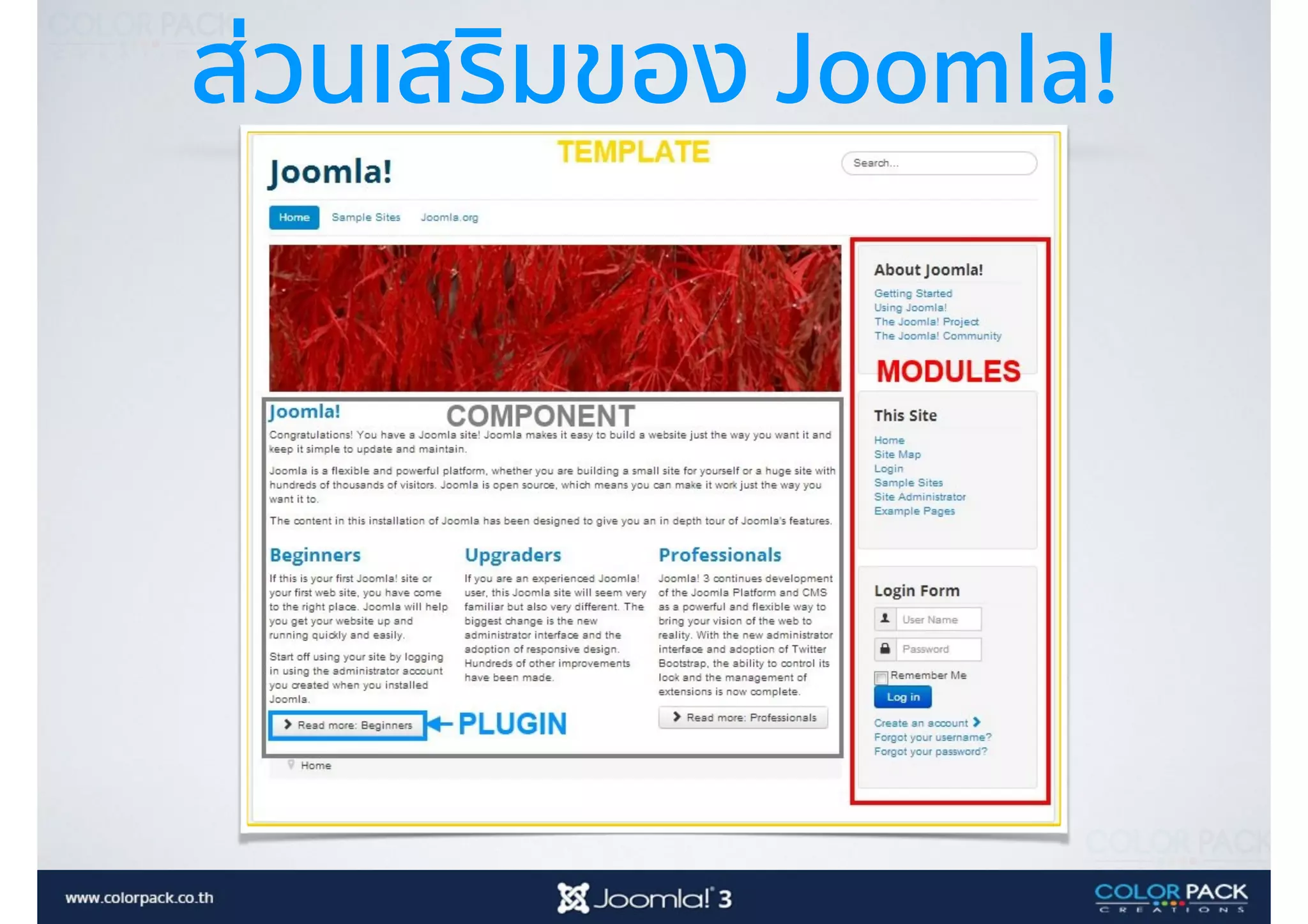 ส่วนเสริมของ Joomla!
 