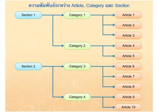 Section 1   Category 1   Article 1

                         Article 2

                         Article 3

            Category 2   Article 4

                         Article 5

Section 2   Category 3   Article 6

                         Article 7

                         Article 8

            Category 4   Article 9

                         Article 10
 