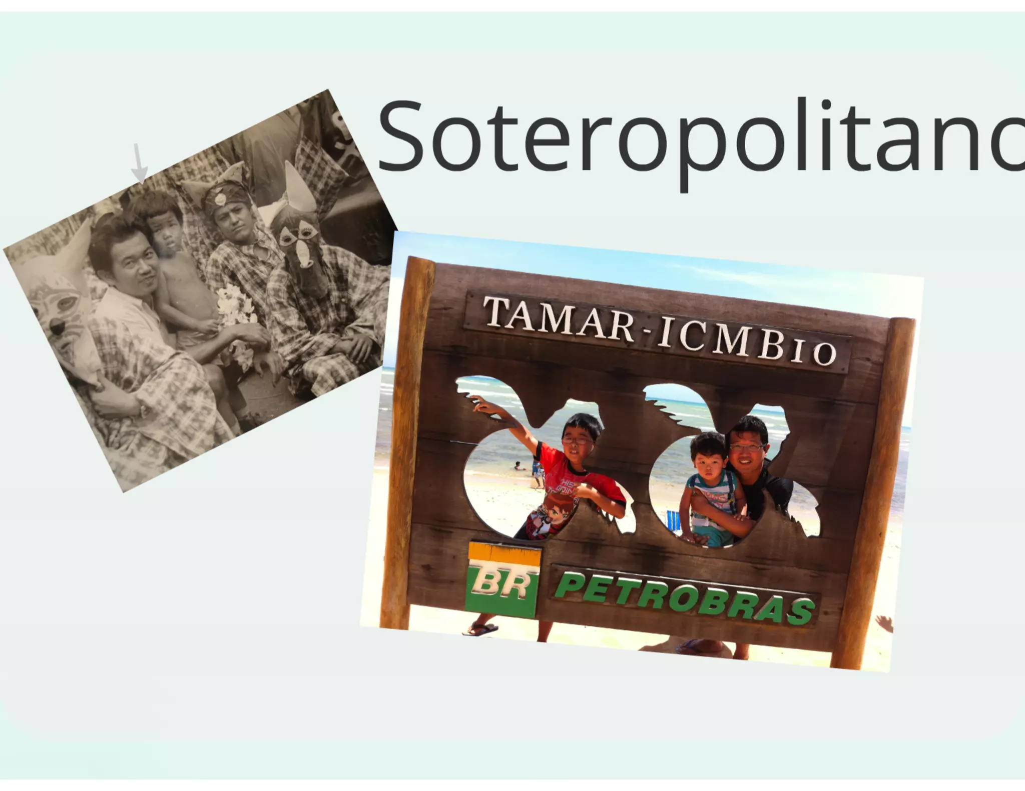 Joomla!, WordPress e Blogs