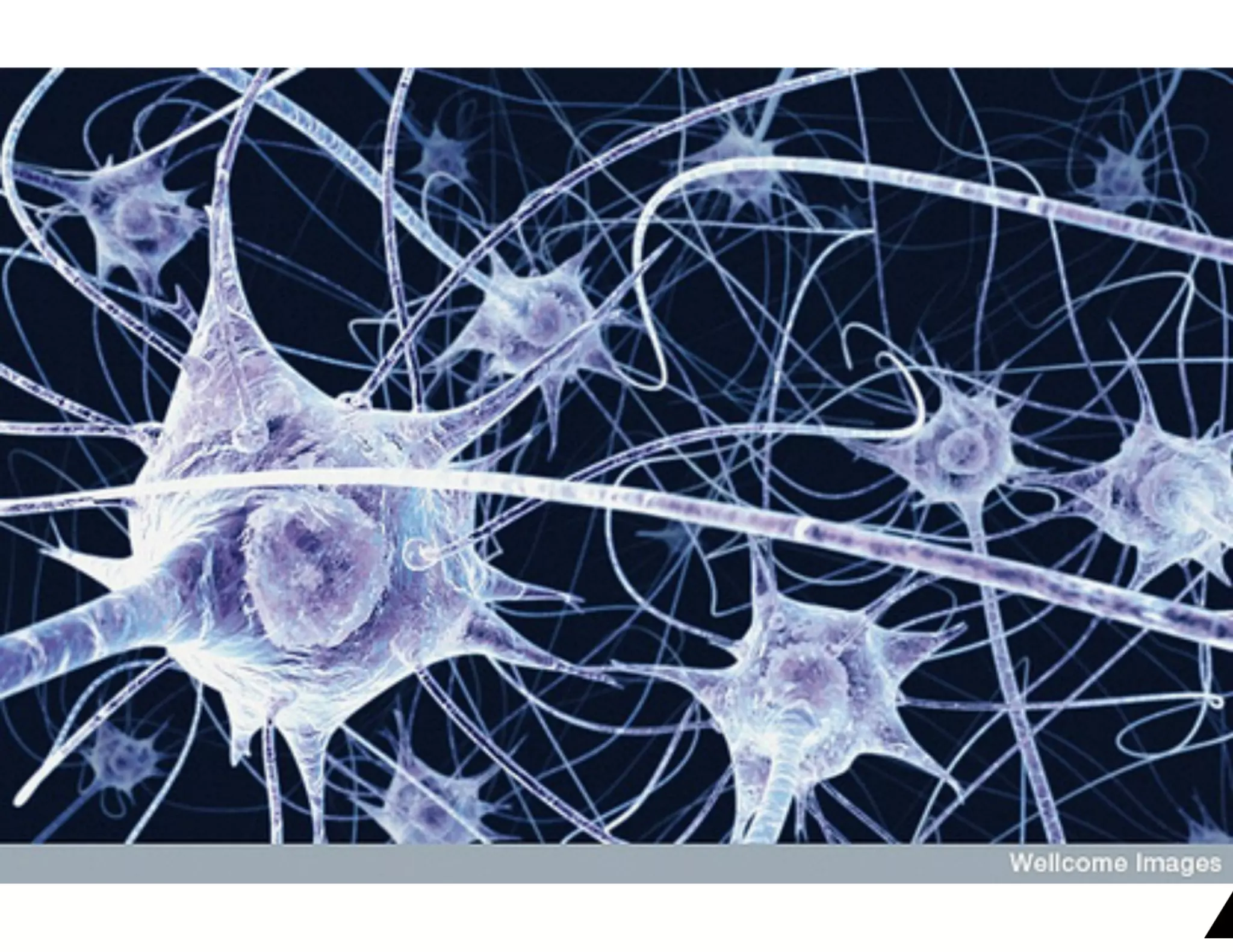 Joomla!, WordPress e Blogs