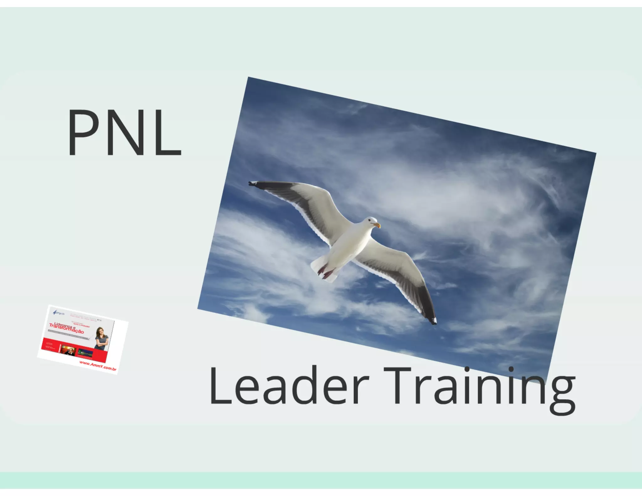 Joomla!, WordPress e Blogs