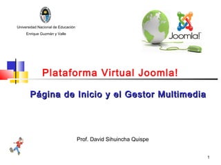 Universidad Nacional de Educación
     Enrique Guzmán y Valle




              Plataforma Virtual Joomla!

       Página de Inicio y el Gestor Multimedia




                                    Prof. David Sihuincha Quispe


                                                                   1
 