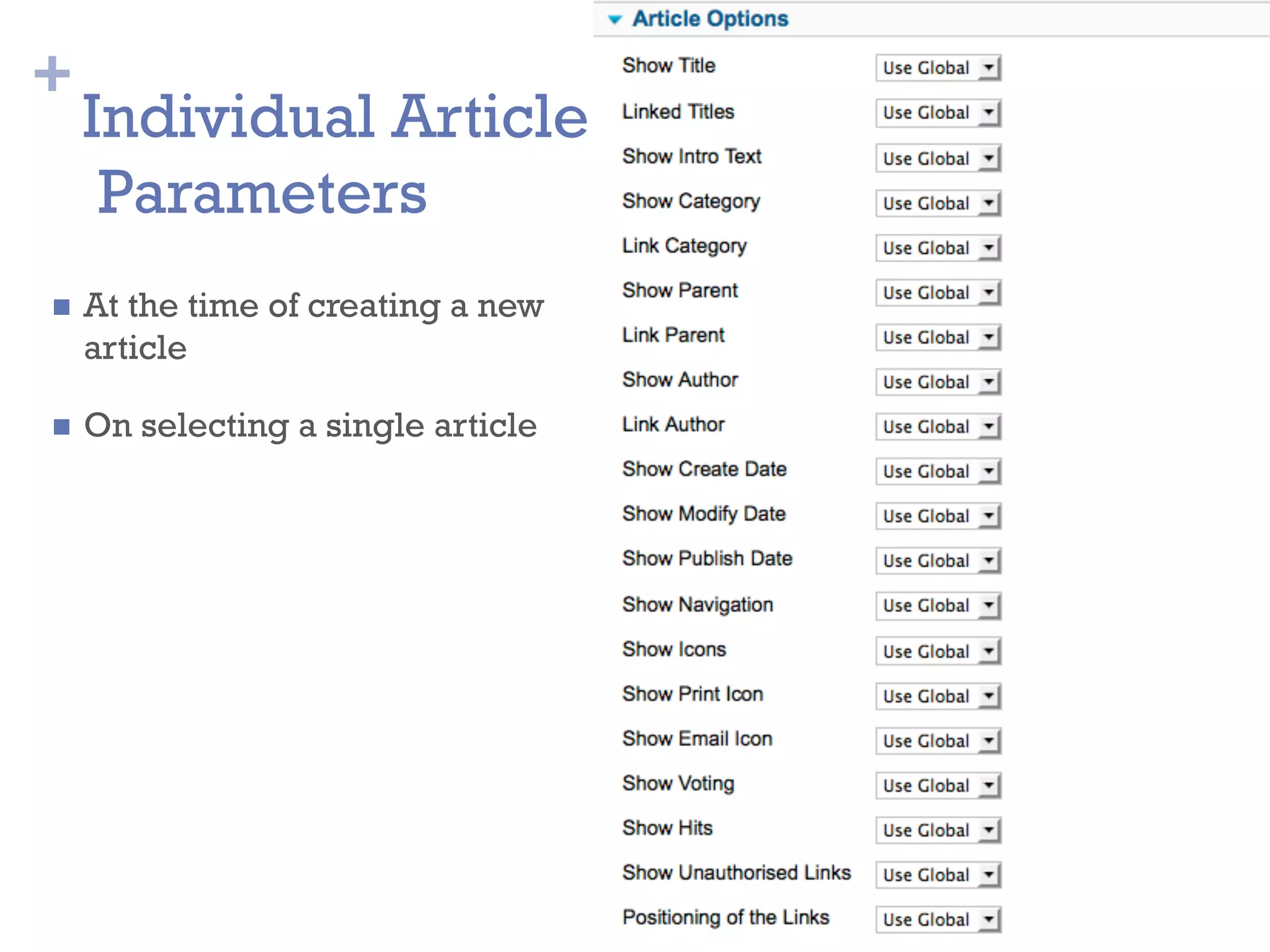 +
Individual Article
Parameters
n  At the time of creating a new
article
n  On selecting a single article
 