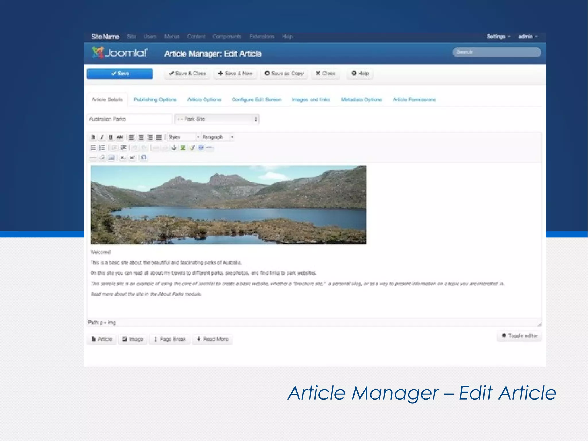 Article Manager – Edit Article
 