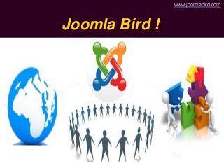 Joomla Bird !
www.joomlabird.com
 