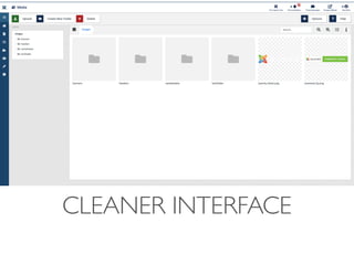 CLEANER INTERFACE
 