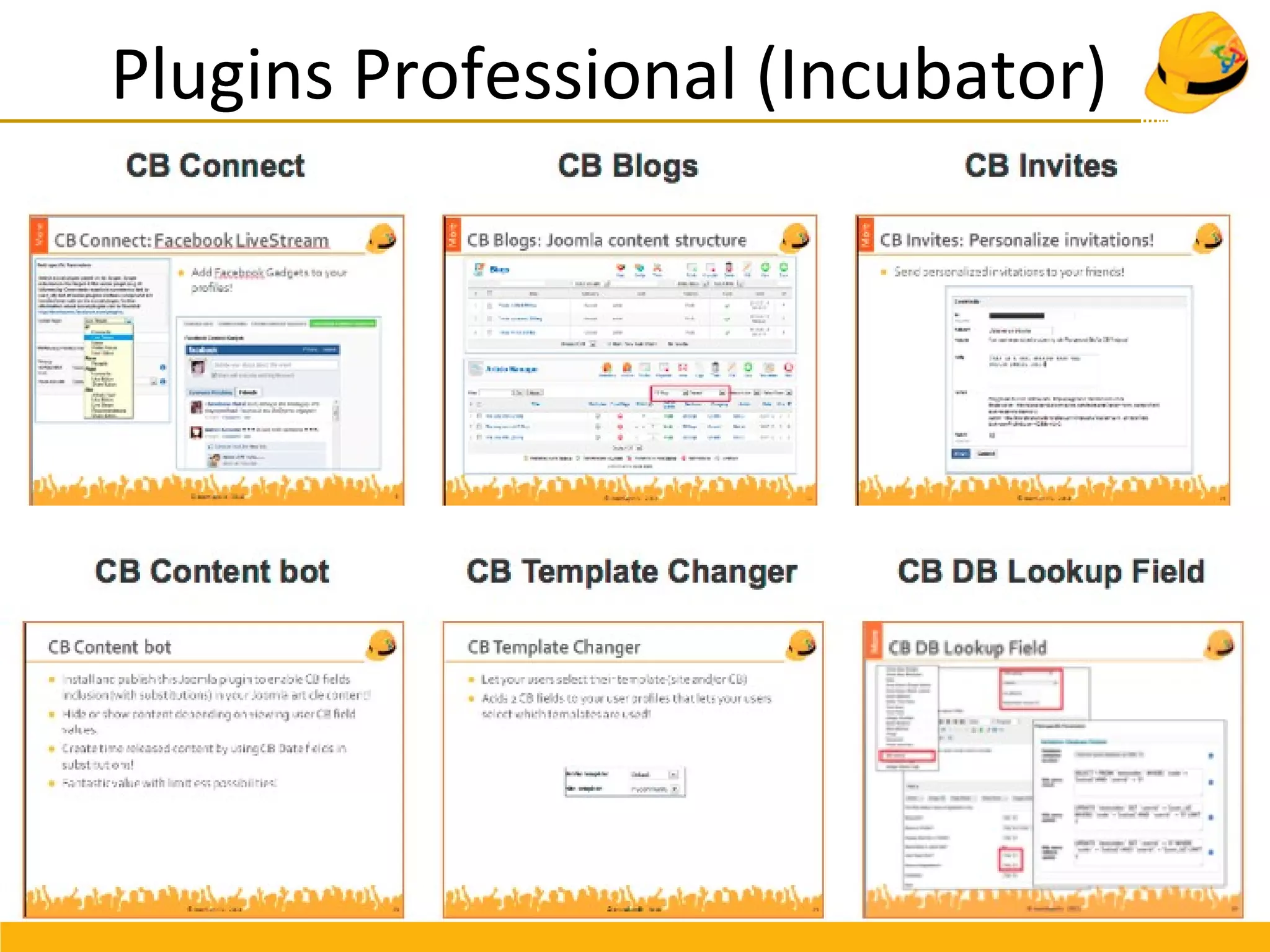Plugins Professional (Incubator)
 