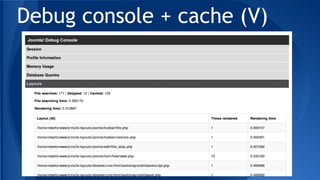 Debug console + cache (V)
 