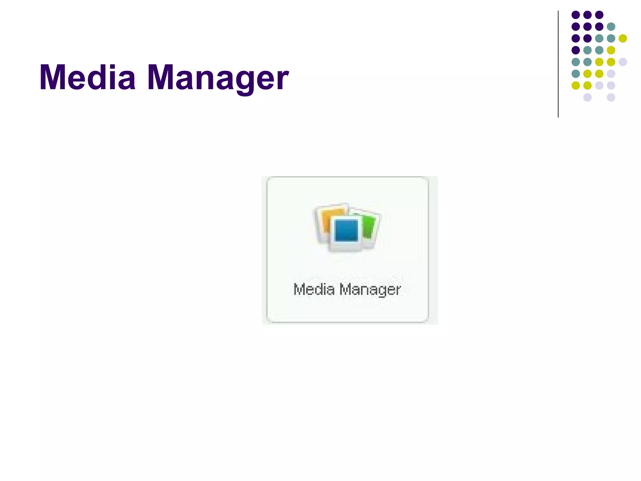 Media Manager
 