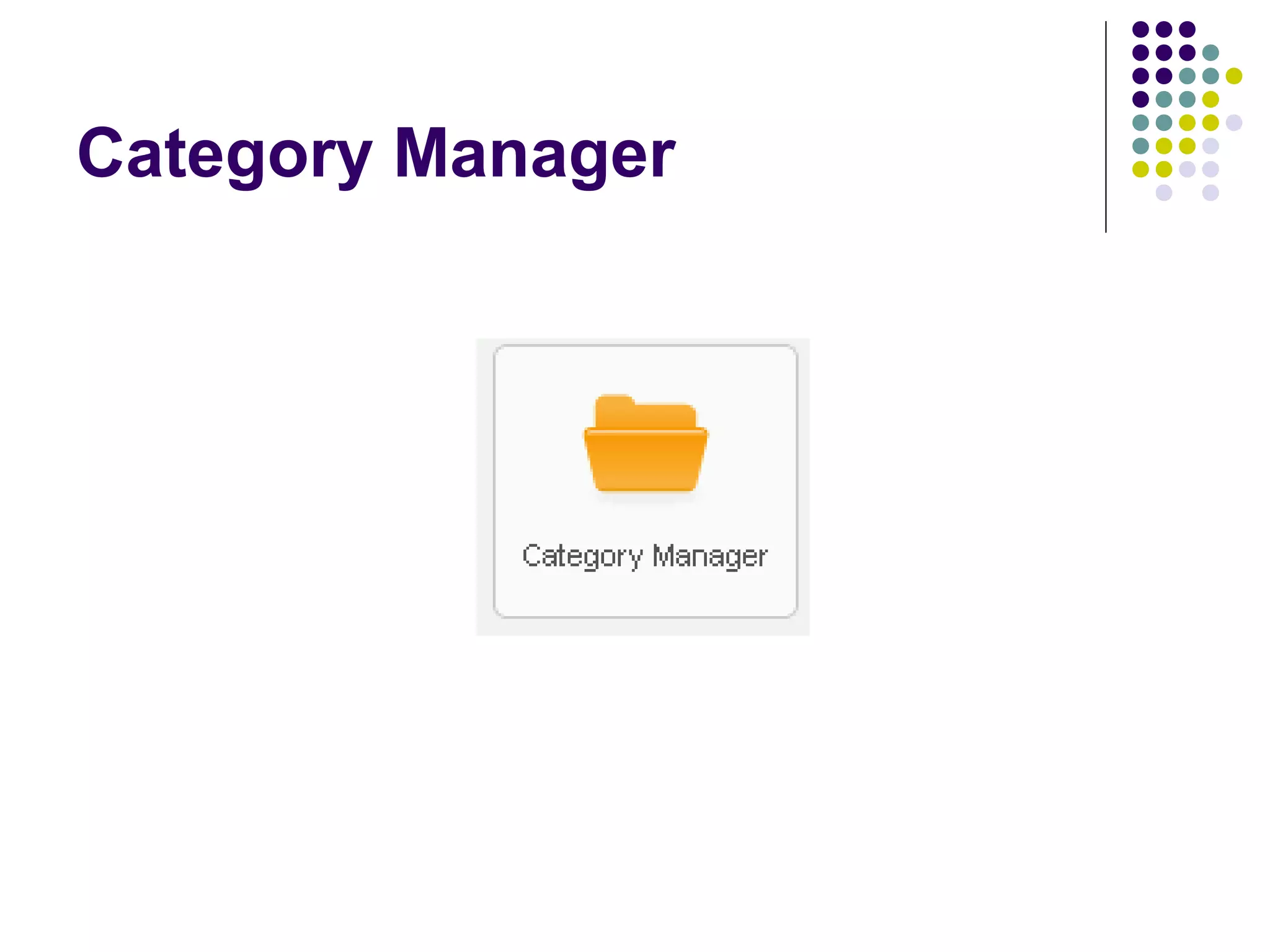Category Manager
 