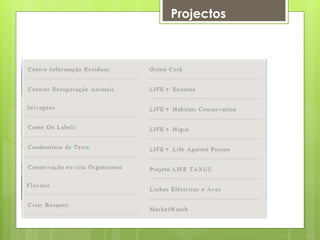 Projectos
 