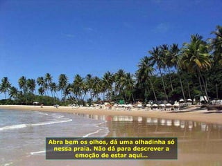 Abra bem os olhos, dá uma olhadinha só nessa praia. Não dá para descrever a emoção de estar aqui… 